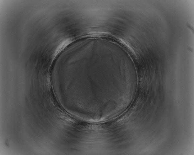 X0000091491362200709131822