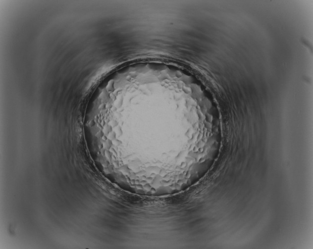 X0000091491363200709131822