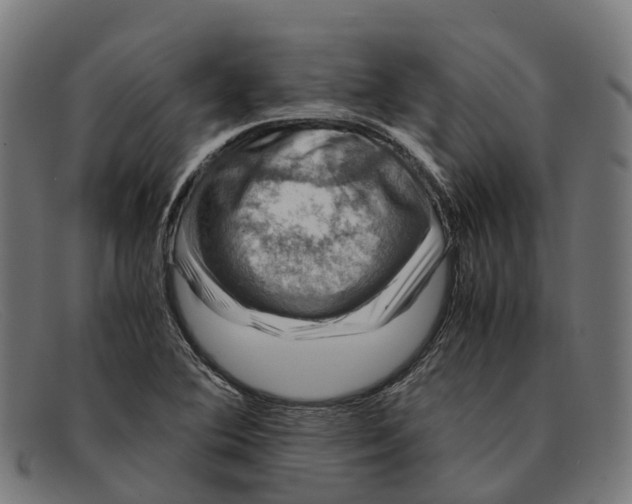 X0000091491364200709131822