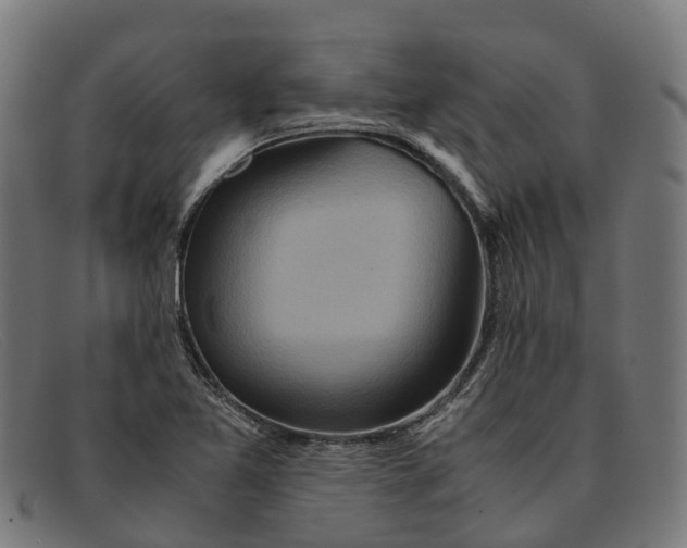 X0000091491365200709131822