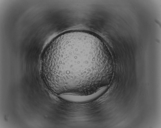 X0000091491366200709131822