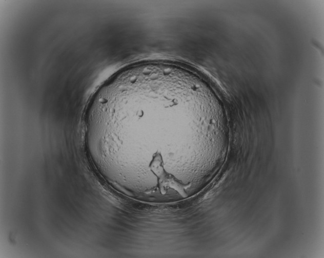 X0000091491367200709131822