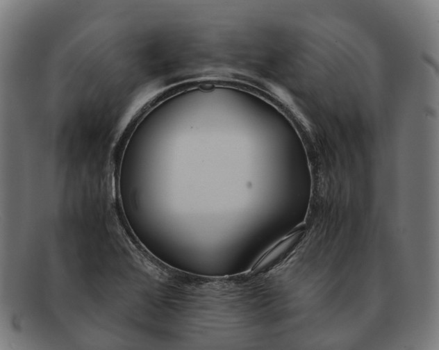 X0000091491368200709131822