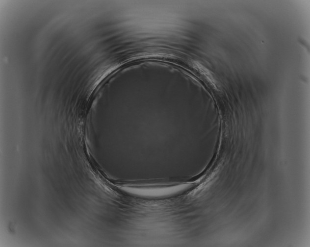X0000091491369200709131822