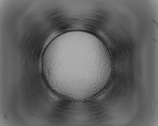 X0000091491370200709131822
