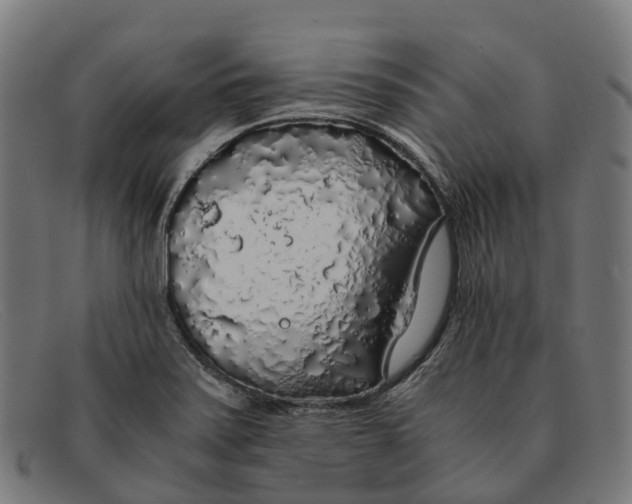 X0000091491371200709131822