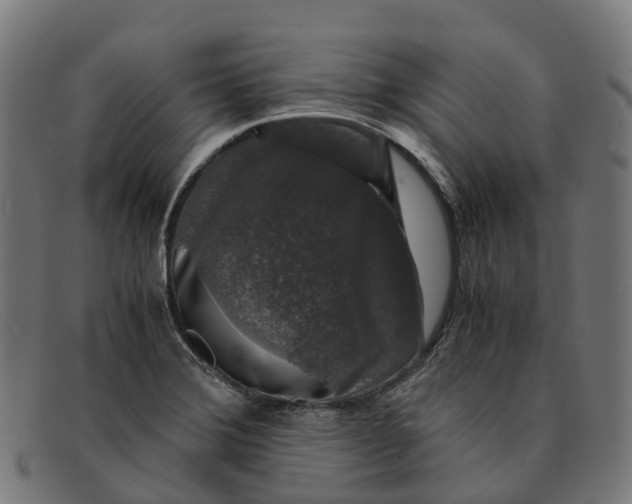 X0000091491372200709131822