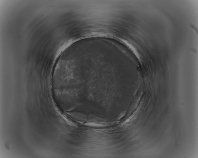 X0000091491373200709131822