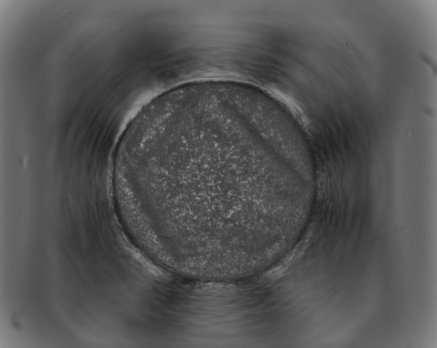 X0000091491374200709131822