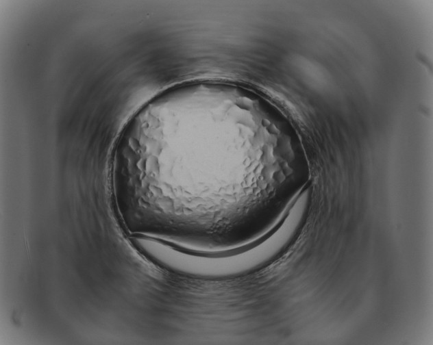 X0000091491375200709131822