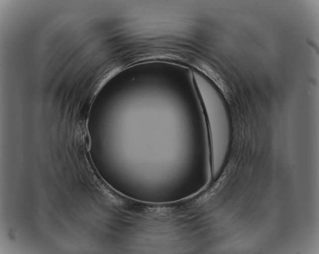 X0000091491377200709131822