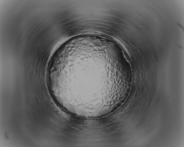 X0000091491379200709131822