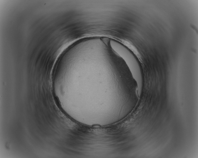 X0000091491380200709131822