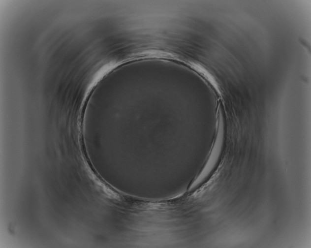 X0000091491381200709131822