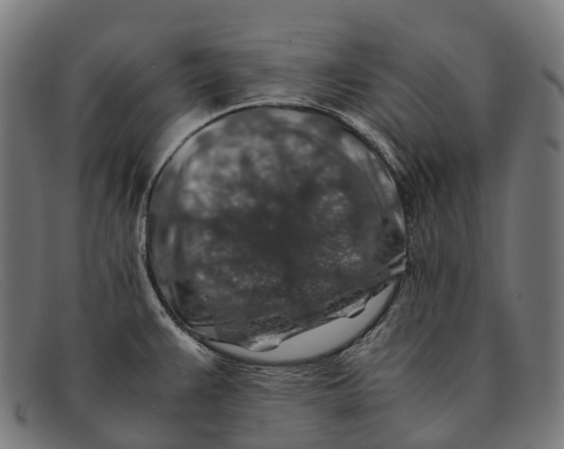 X0000091491383200709131822