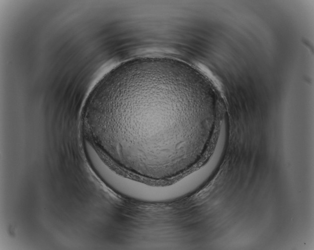 X0000091491384200709131822