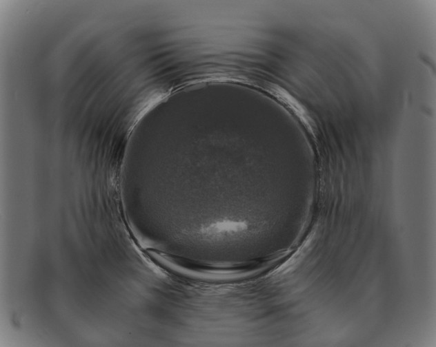 X0000091491385200709131822