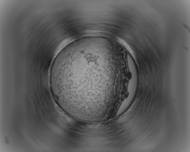 X0000091491386200709131822