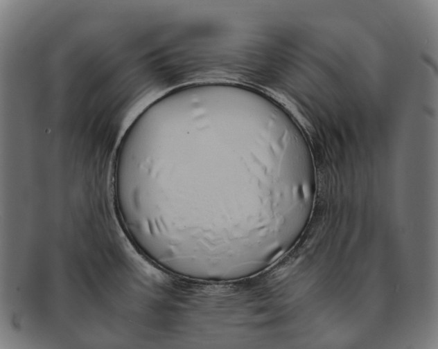 X0000091491387200709131822