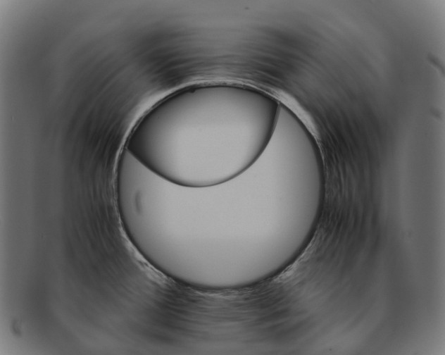 X0000091491388200709131822