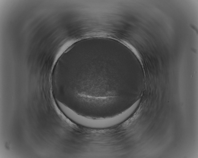 X0000091491389200709131822