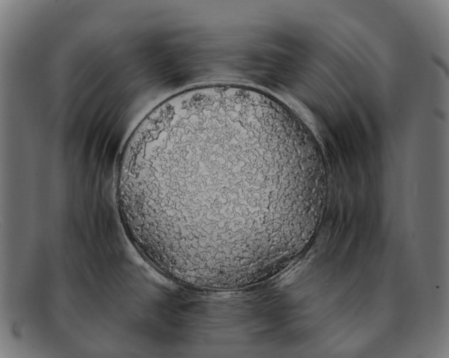 X0000091491390200709131822