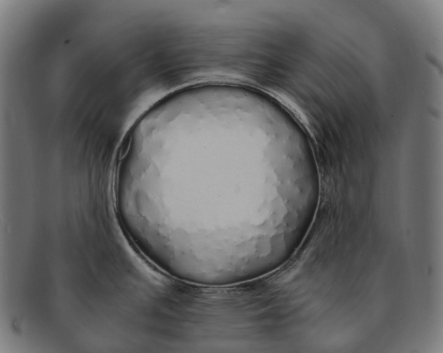 X0000091491391200709131822