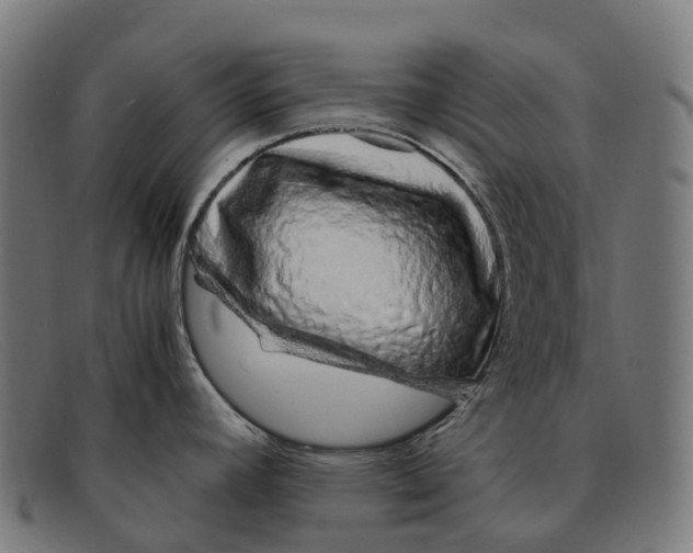 X0000091491392200709131822