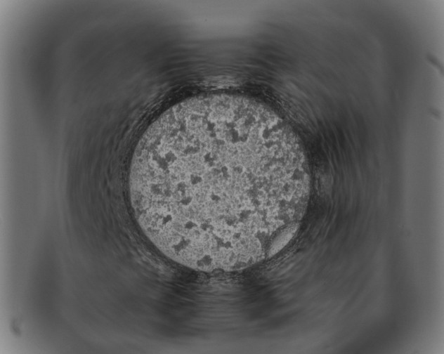 X0000091491393200709131821