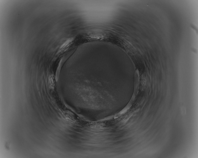 X0000091491394200709131822