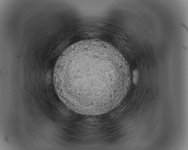 X0000091491395200709131822