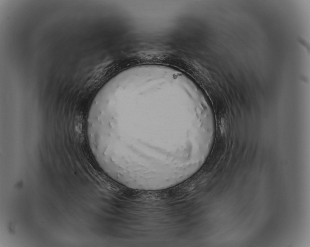 X0000091491396200709131822