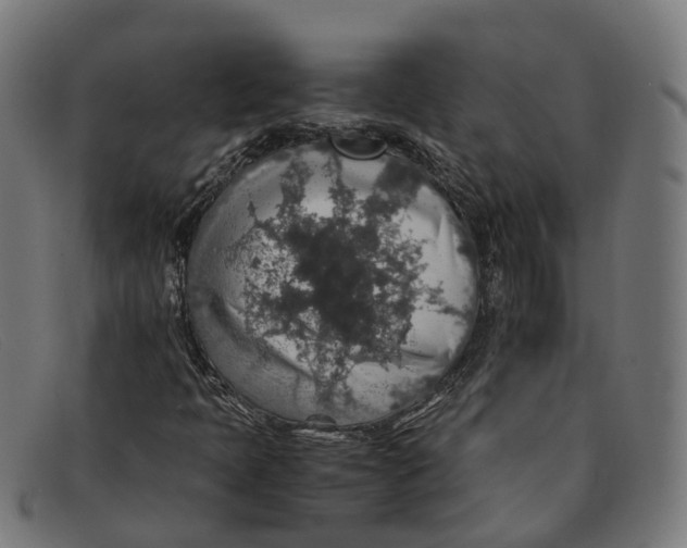 X0000091491397200709131822