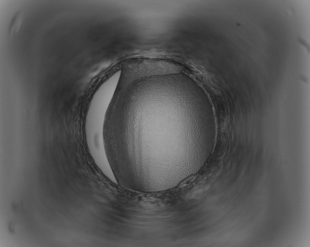 X0000091491398200709131822