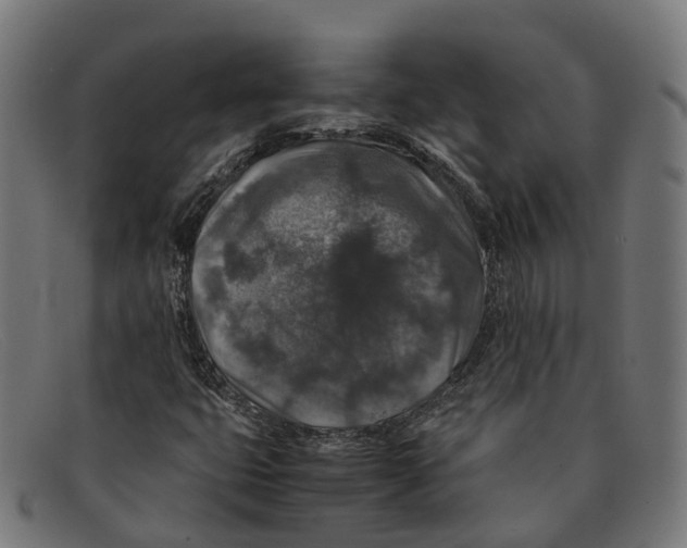 X0000091491399200709131822