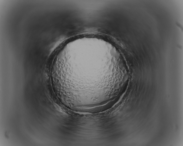 X0000091491400200709131822