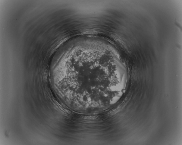 X0000091491401200709131822
