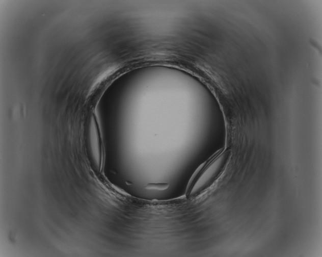 X0000091491402200709131822