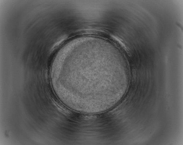 X0000091491403200709131822