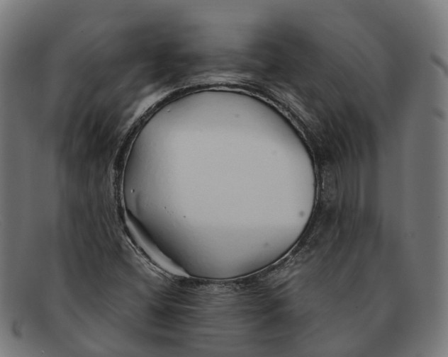 X0000091491404200709131822