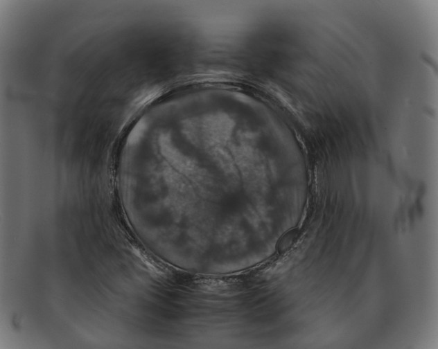 X0000091491405200709131822