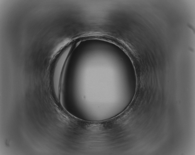 X0000091491406200709131822