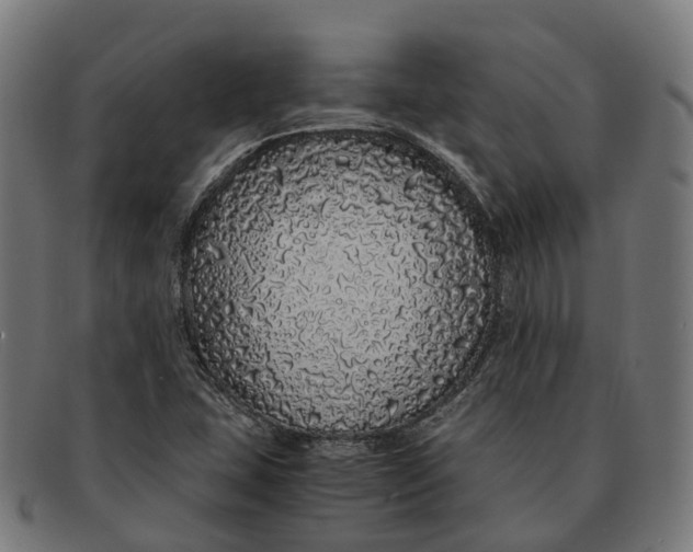 X0000091491407200709131822