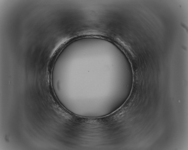 X0000091491408200709131822