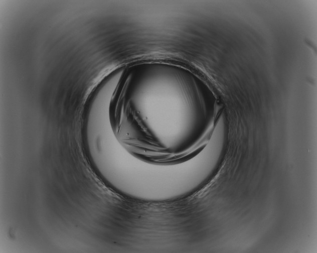 X0000091491410200709131822