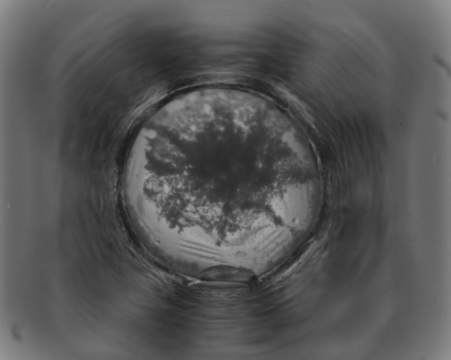 X0000091491411200709131822