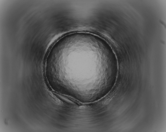 X0000091491412200709131822