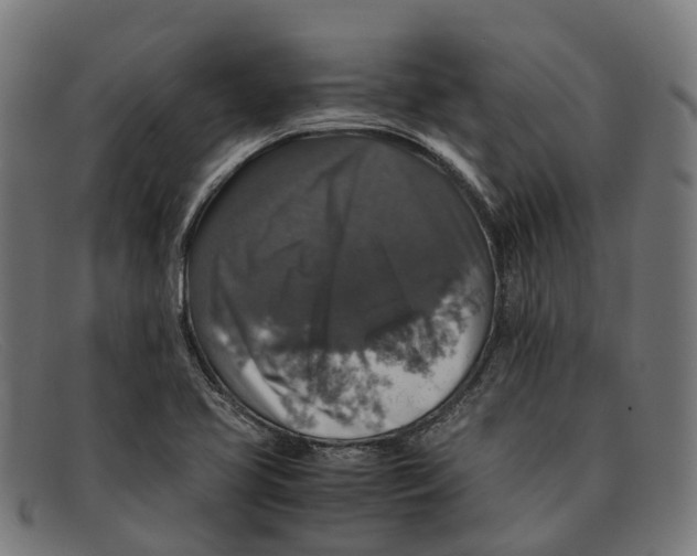 X0000091491413200709131822