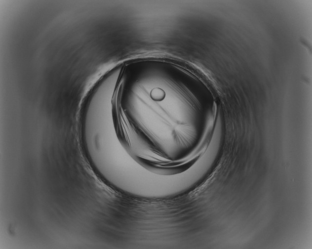X0000091491414200709131822