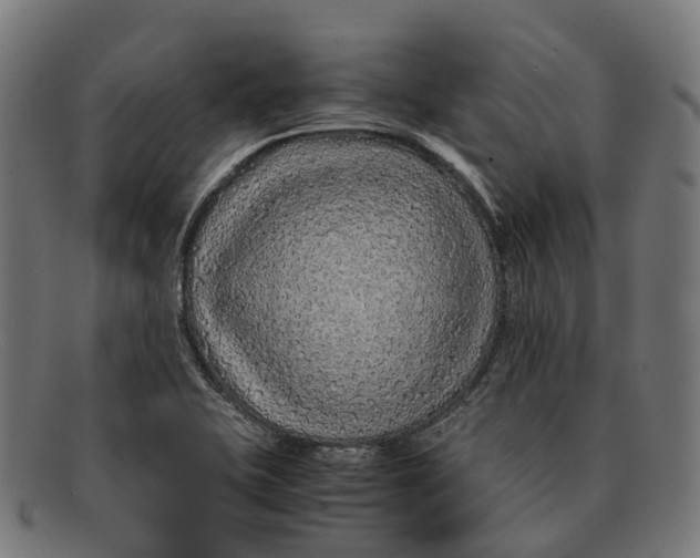 X0000091491415200709131822